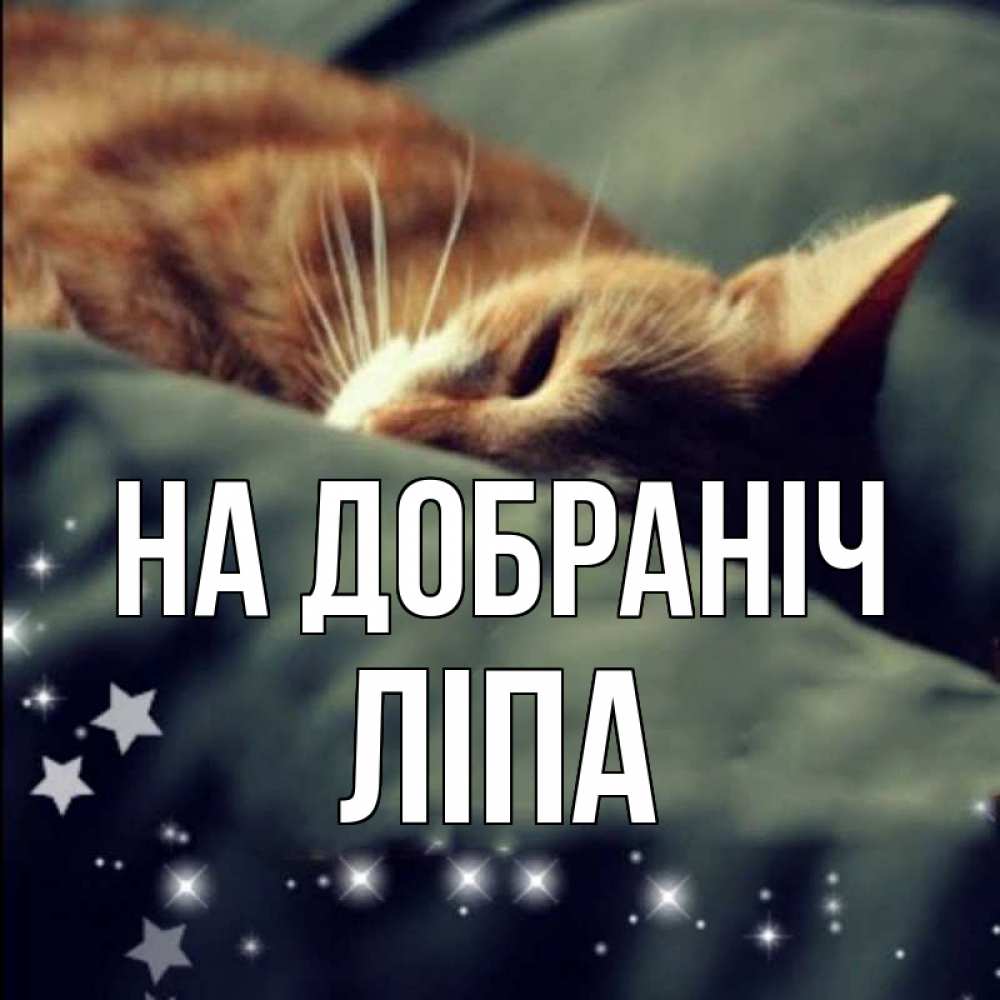 Открытка на каждый день з підписом, Ліпа На добраніч кроватка Прикольна листівка з побажанням онлайн скачати безкоштовно 