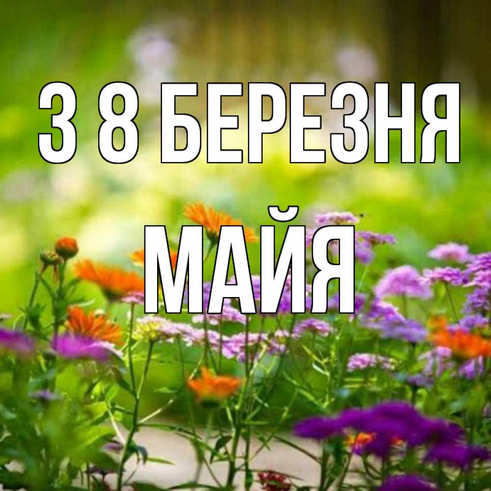 Открытка на каждый день з підписом, Майя З 8 БЕРЕЗНЯ цветы Прикольна листівка з побажанням онлайн скачати безкоштовно 