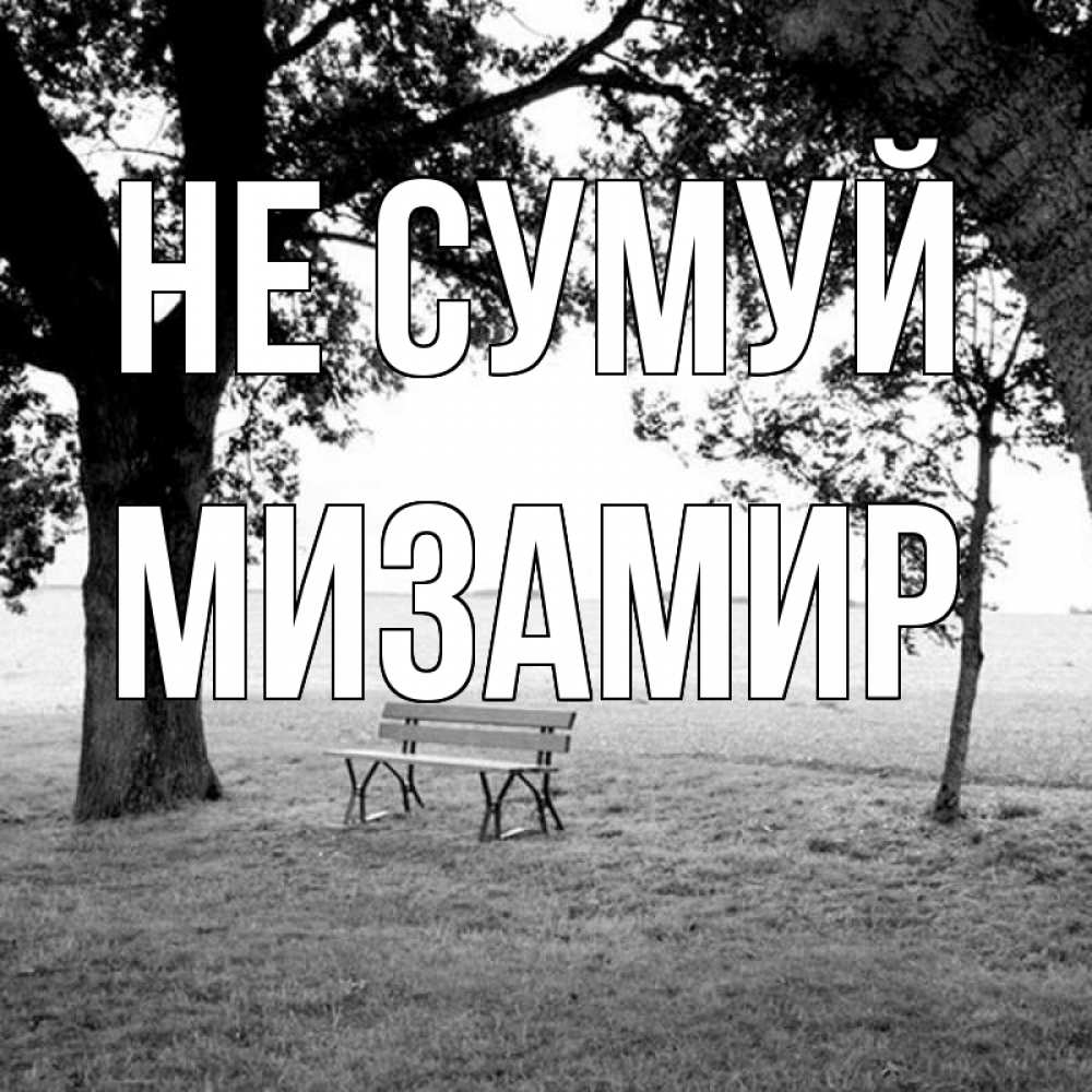 Открытка на каждый день з підписом, Мизамир Не сумуй мощное дерево Прикольна листівка з побажанням онлайн скачати безкоштовно 