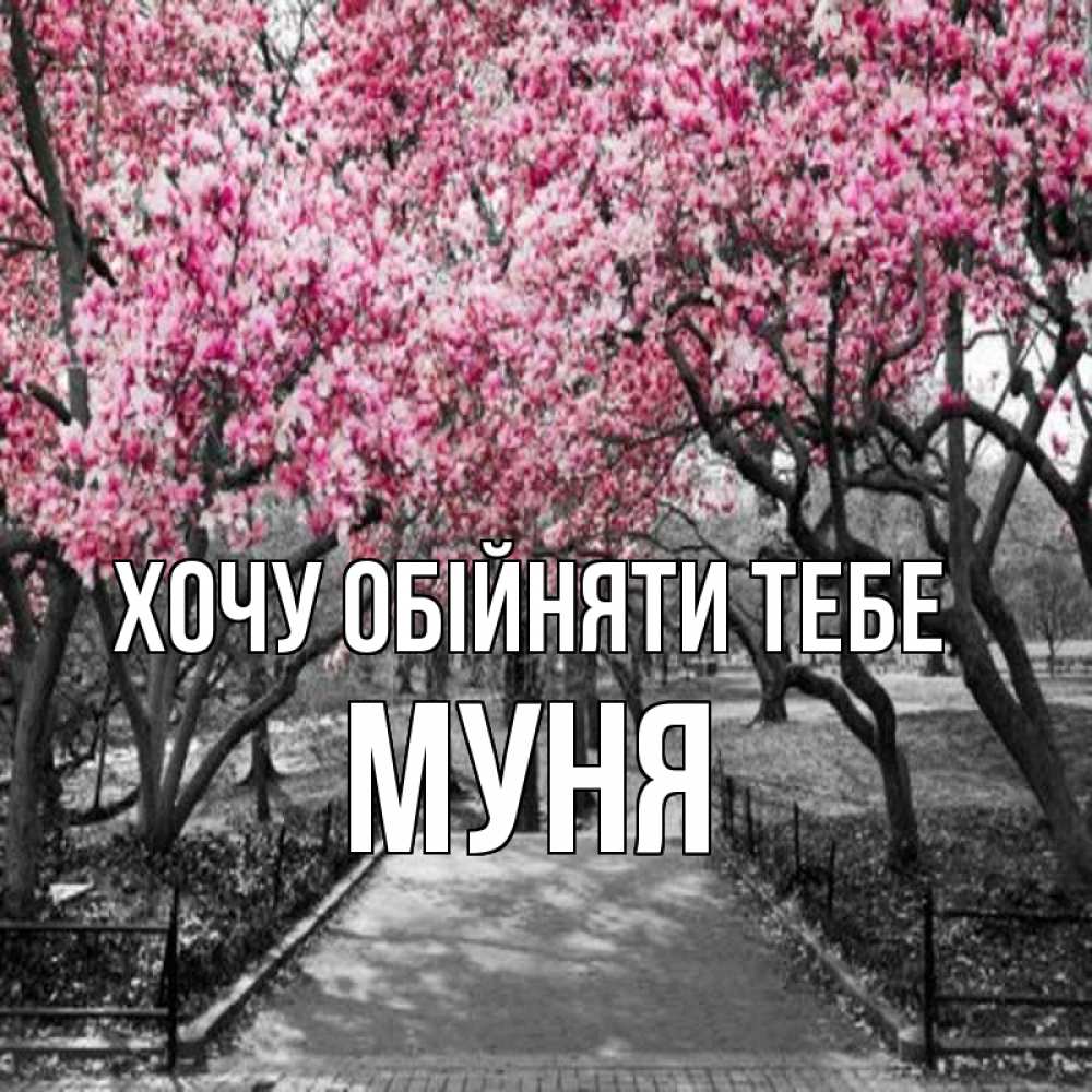 Открытка на каждый день з підписом, Муня Хочу обійняти тебе обработанное фото Прикольна листівка з побажанням онлайн скачати безкоштовно 