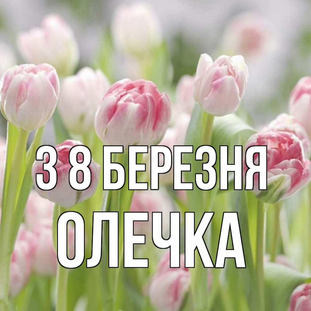 Открытка на каждый день з підписом, Олечка З 8 БЕРЕЗНЯ цветы Прикольна листівка з побажанням онлайн скачати безкоштовно 