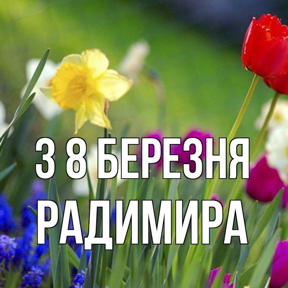 Открытка на каждый день з підписом, Радимира З 8 БЕРЕЗНЯ международный женский день 3 Прикольна листівка з побажанням онлайн скачати безкоштовно 