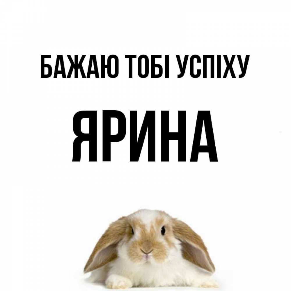 Открытка на каждый день з підписом, Ярина Бажаю тобі успіху открытки с произвольным текстом который можно вставить в открытку и создать ее самостоятельно бесплатно онлайн Прикольна листівка з побажанням онлайн скачати безкоштовно 
