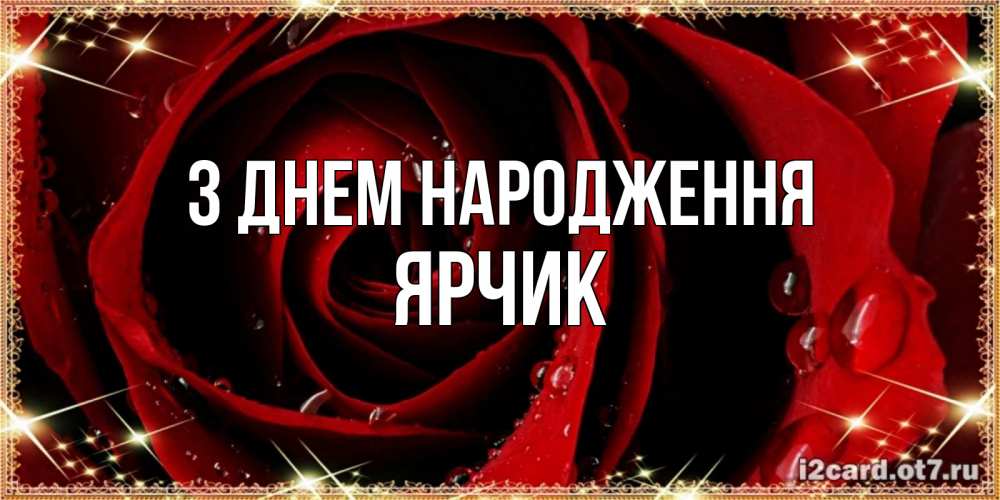 Открытка на каждый день з підписом, Ярчик З Днем народження цветок в росе на день рождения Прикольна листівка з побажанням онлайн скачати безкоштовно 