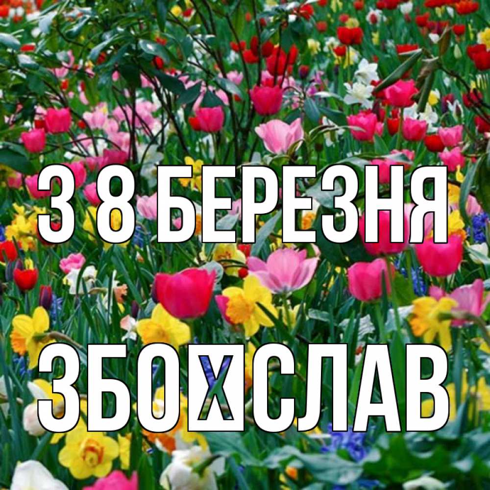 Открытка на каждый день з підписом, Збоїслав З 8 БЕРЕЗНЯ с международным женским днем поздравления для женщины Прикольна листівка з побажанням онлайн скачати безкоштовно 