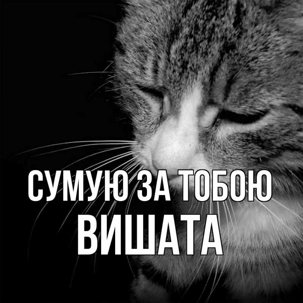 Открытка на каждый день з підписом, Вишата Сумую за тобою мне скучно Прикольна листівка з побажанням онлайн скачати безкоштовно 