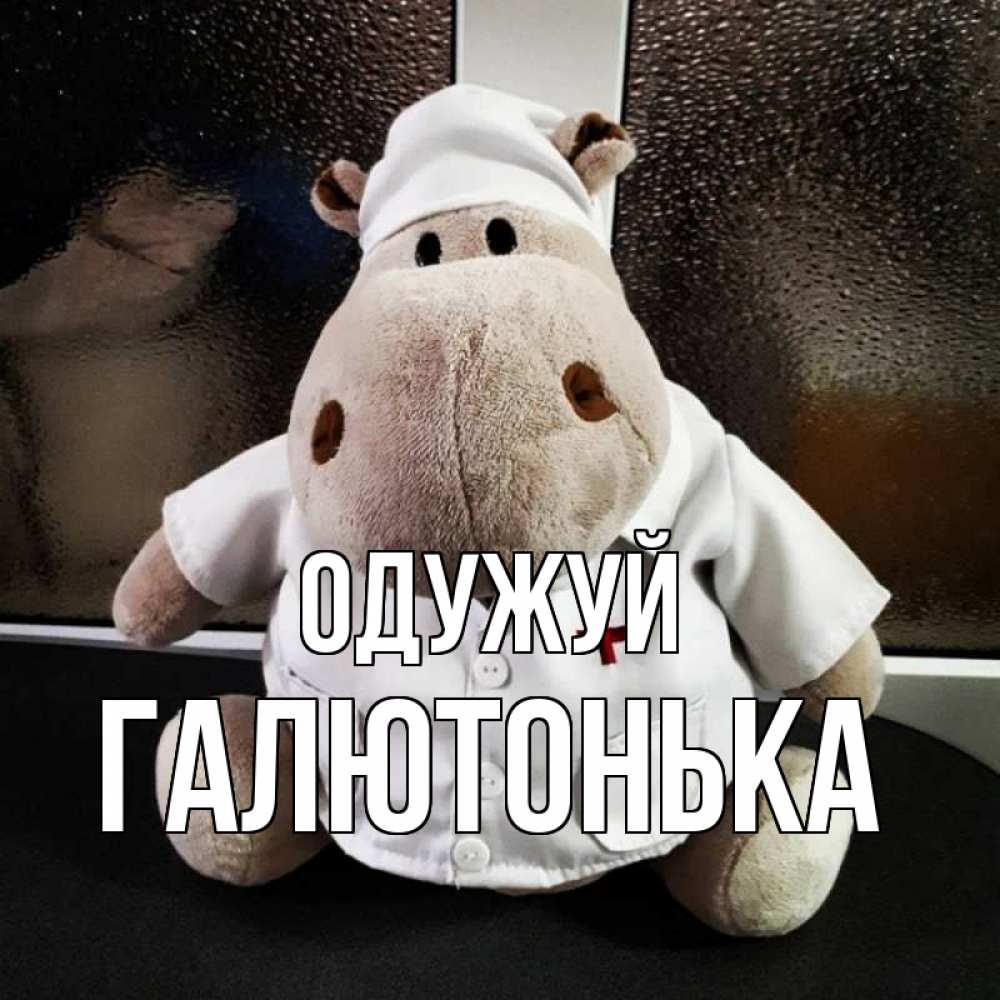 Открытка на каждый день з підписом, Галютонька Одужуй всех излечит исцелит Прикольна листівка з побажанням онлайн скачати безкоштовно 