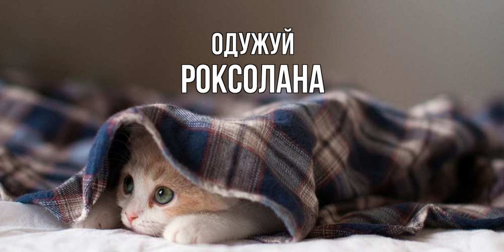 Открытка на каждый день з підписом, Роксолана Одужуй не болейте с котиком Прикольна листівка з побажанням онлайн скачати безкоштовно 