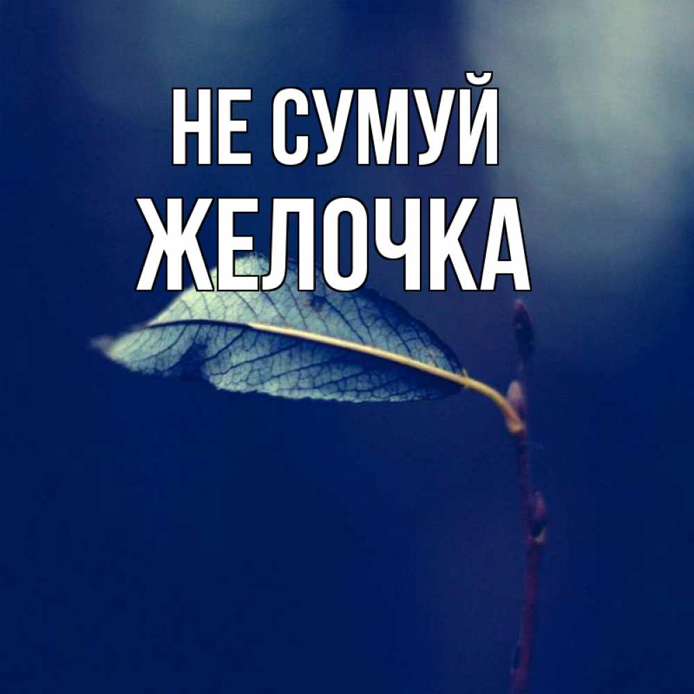Открытка на каждый день з підписом, Желочка Не сумуй растение Прикольна листівка з побажанням онлайн скачати безкоштовно 
