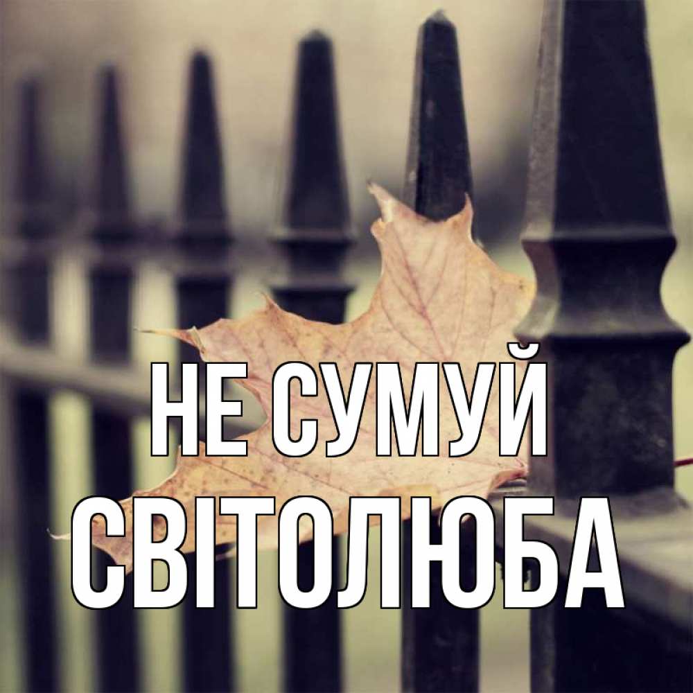 Открытка на каждый день з підписом, Світолюба Не сумуй лист клена Прикольна листівка з побажанням онлайн скачати безкоштовно 