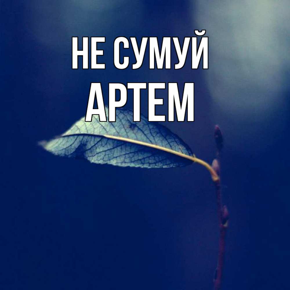 Открытка на каждый день з підписом, Артем Не сумуй растение Прикольна листівка з побажанням онлайн скачати безкоштовно 