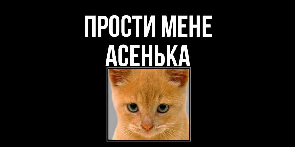 Открытка на каждый день з підписом, Асенька Прости мене рыжий грустный кот просит прощения Прикольна листівка з побажанням онлайн скачати безкоштовно 