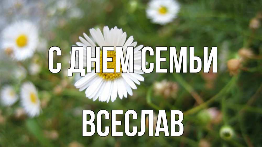 Открытка на каждый день з підписом, Всеслав С днем семьи с днем семьи Прикольна листівка з побажанням онлайн скачати безкоштовно 