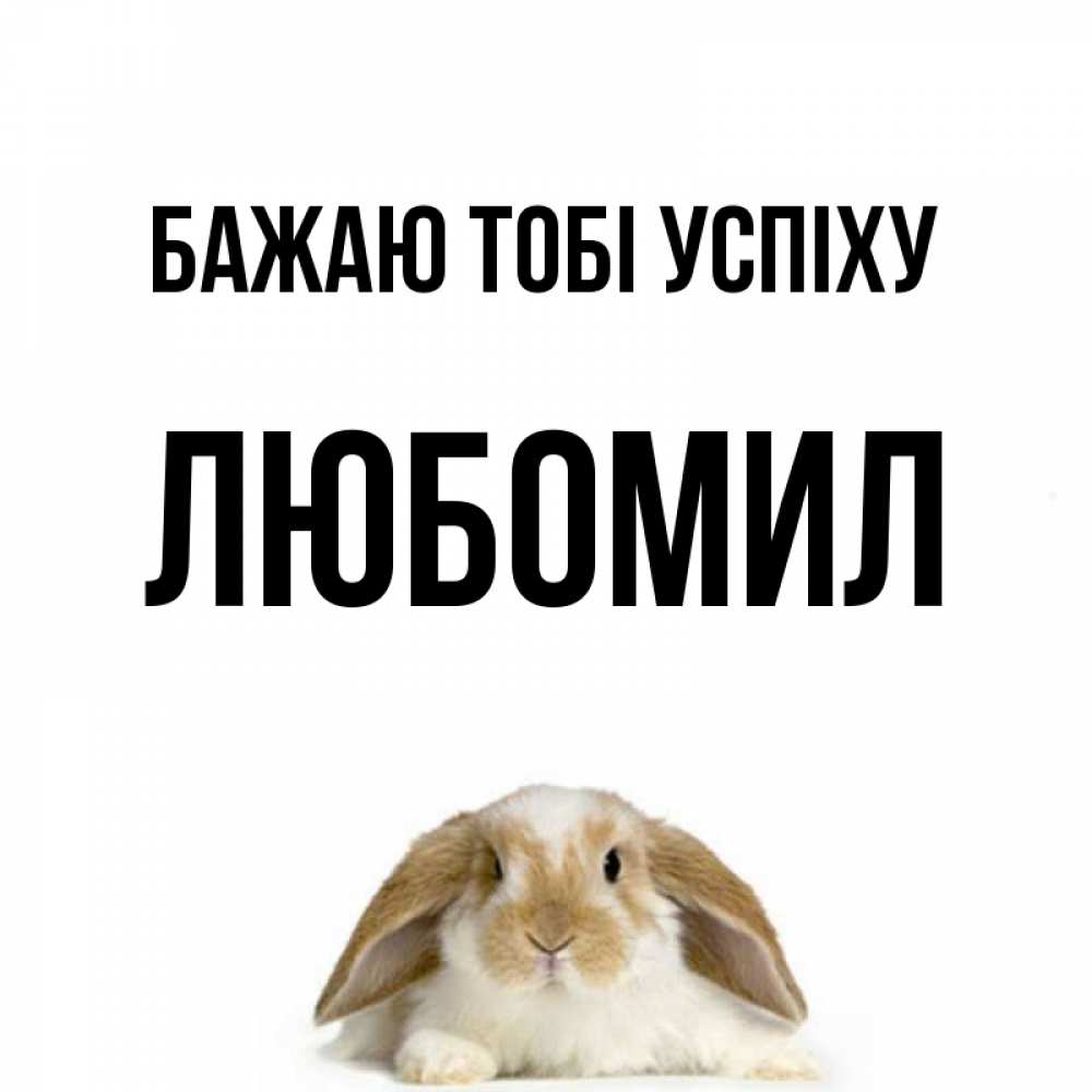Открытка на каждый день з підписом, Любомил Бажаю тобі успіху открытки с произвольным текстом который можно вставить в открытку и создать ее самостоятельно бесплатно онлайн Прикольна листівка з побажанням онлайн скачати безкоштовно 