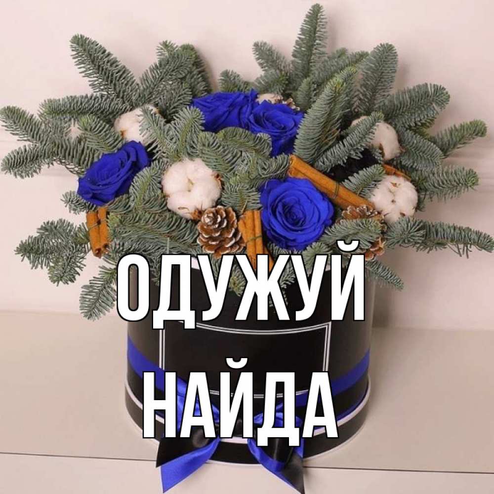 Открытка на каждый день з підписом, Найда Одужуй короче кто то загрузил эти шишки Прикольна листівка з побажанням онлайн скачати безкоштовно 