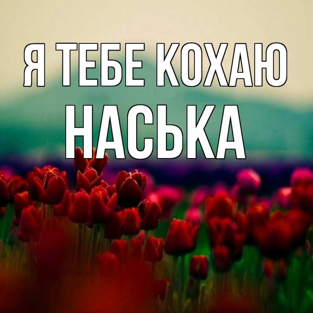 Открытка на каждый день з підписом, Наська Я тебе кохаю тюльпаны 4 Прикольна листівка з побажанням онлайн скачати безкоштовно 