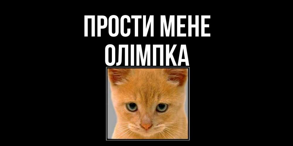 Открытка на каждый день з підписом, Олімпка Прости мене рыжий грустный кот просит прощения Прикольна листівка з побажанням онлайн скачати безкоштовно 