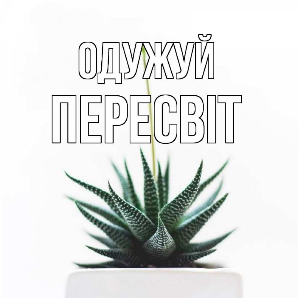Открытка на каждый день з підписом, Пересвіт Одужуй короче это непонятная колючка Прикольна листівка з побажанням онлайн скачати безкоштовно 