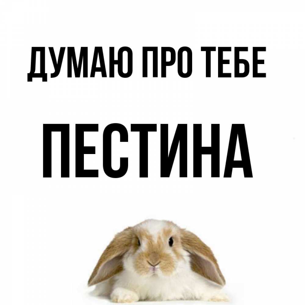 Открытка на каждый день з підписом, Пестина Думаю про тебе подписать своими руками онлайн Прикольна листівка з побажанням онлайн скачати безкоштовно 