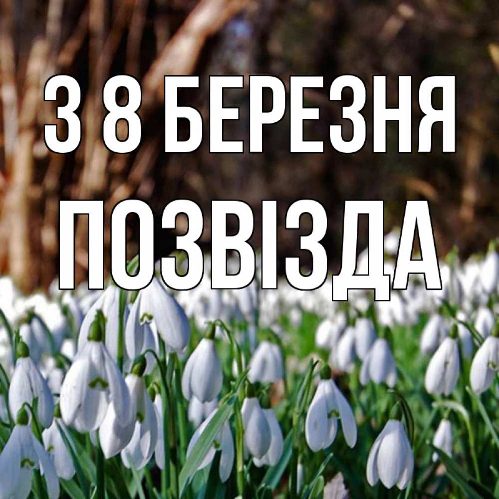 Открытка на каждый день з підписом, Позвізда З 8 БЕРЕЗНЯ с подснежниками 1 Прикольна листівка з побажанням онлайн скачати безкоштовно 