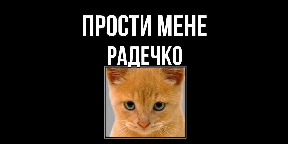 Открытка на каждый день з підписом, Радечко Прости мене рыжий грустный кот просит прощения Прикольна листівка з побажанням онлайн скачати безкоштовно 