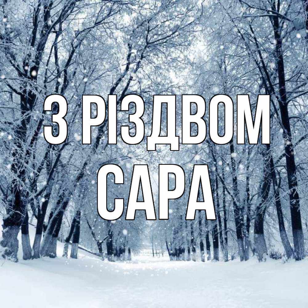 Открытка на каждый день з підписом, Сара З Різдвом снег, лес, парк Прикольна листівка з побажанням онлайн скачати безкоштовно 