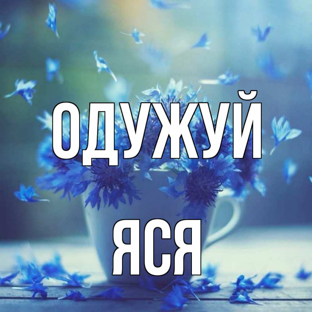 Открытка на каждый день з підписом, Яся Одужуй кружка с зельем и цветами Прикольна листівка з побажанням онлайн скачати безкоштовно 