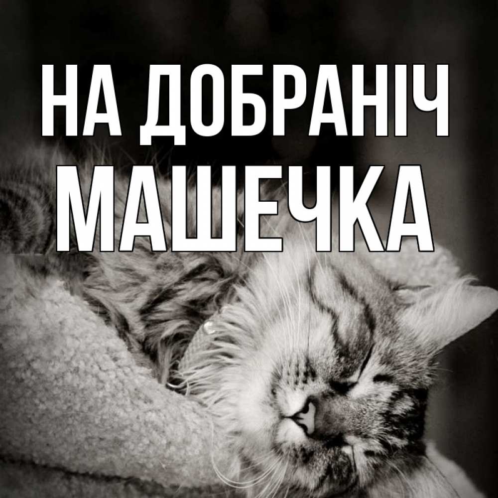 Открытка на каждый день з підписом, Машечка На добраніч котярик пушистый Прикольна листівка з побажанням онлайн скачати безкоштовно 