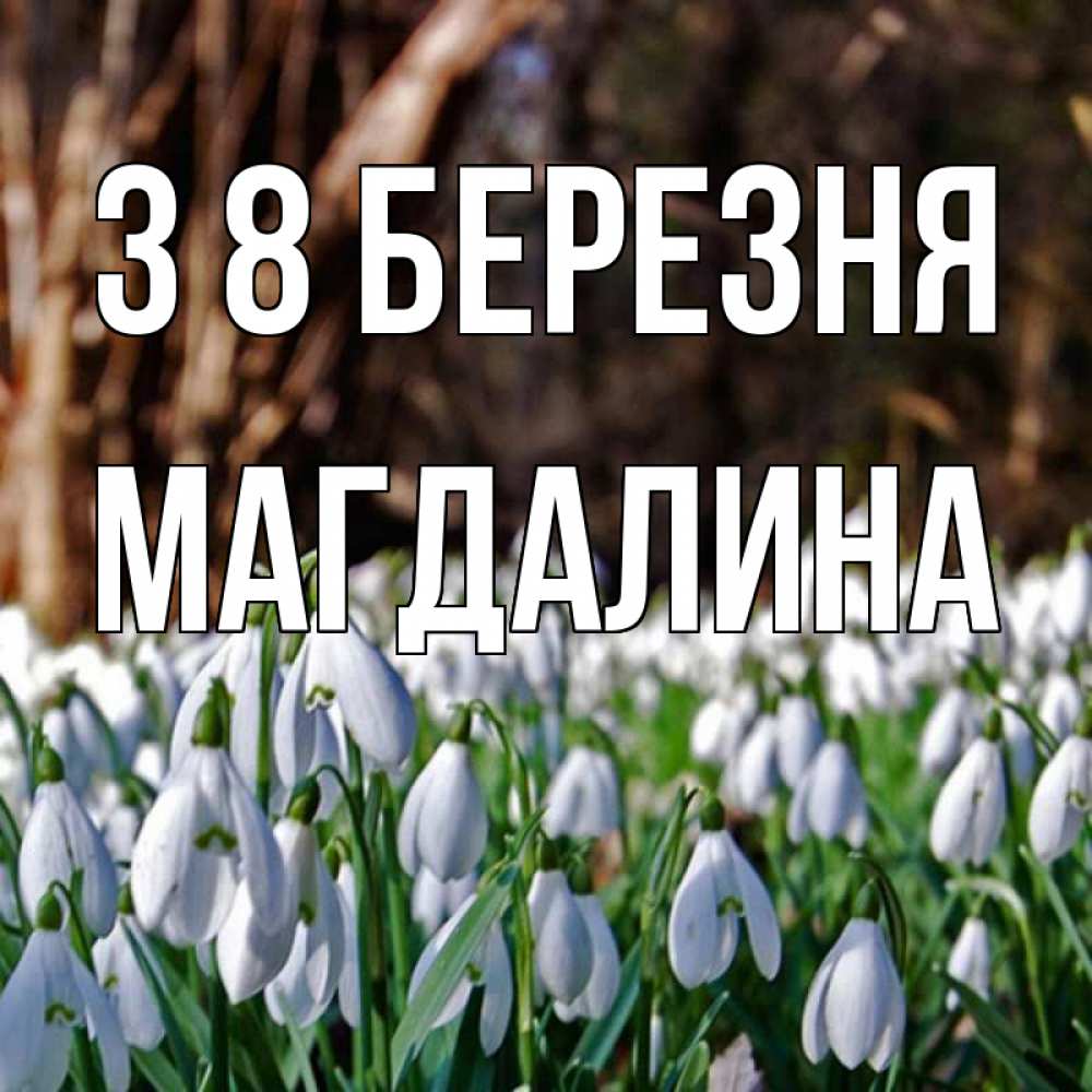Открытка на каждый день з підписом, Магдалина З 8 БЕРЕЗНЯ с подснежниками 1 Прикольна листівка з побажанням онлайн скачати безкоштовно 