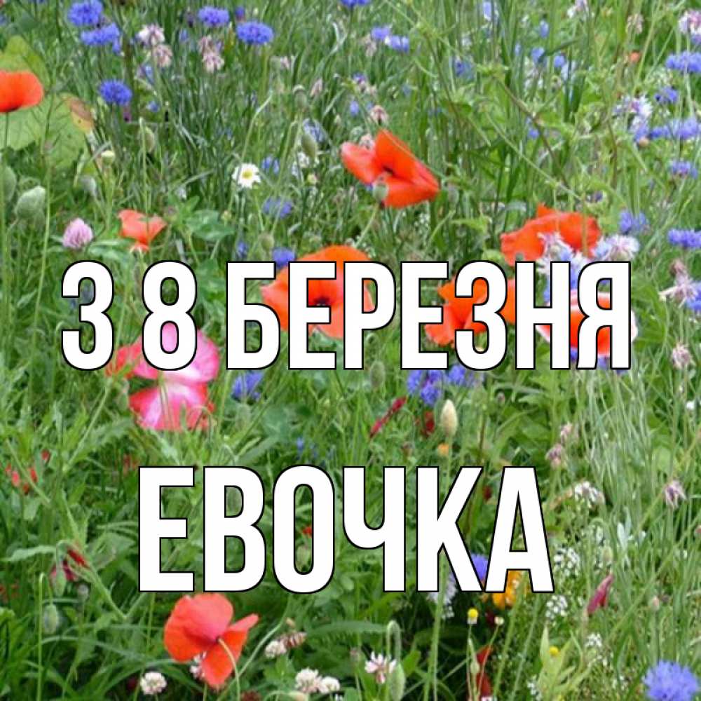 Открытка на каждый день з підписом, Евочка З 8 БЕРЕЗНЯ международный женский день 4 Прикольна листівка з побажанням онлайн скачати безкоштовно 