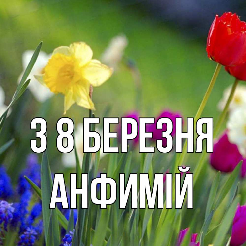 Открытка на каждый день з підписом, Анфимій З 8 БЕРЕЗНЯ международный женский день 3 Прикольна листівка з побажанням онлайн скачати безкоштовно 