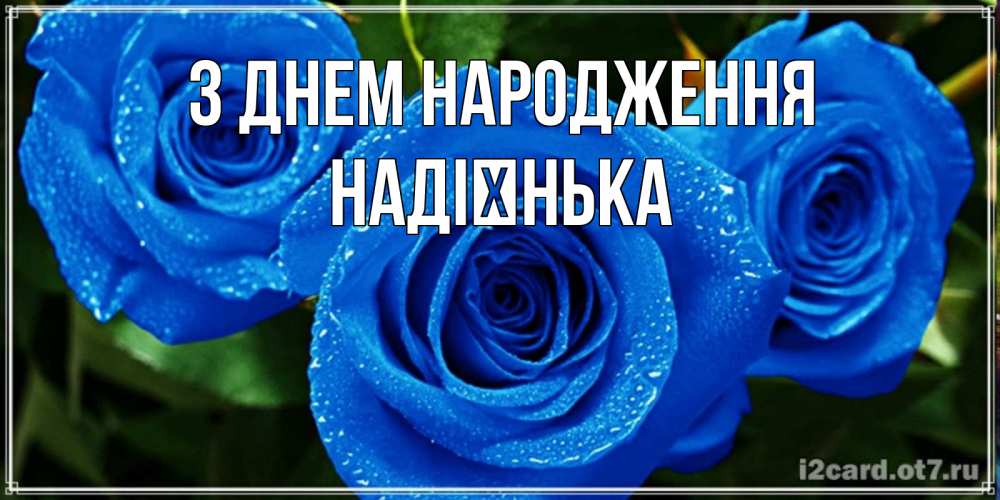 Открытка на каждый день з підписом, Надієнька З Днем народження розы с синим цветом Прикольна листівка з побажанням онлайн скачати безкоштовно 