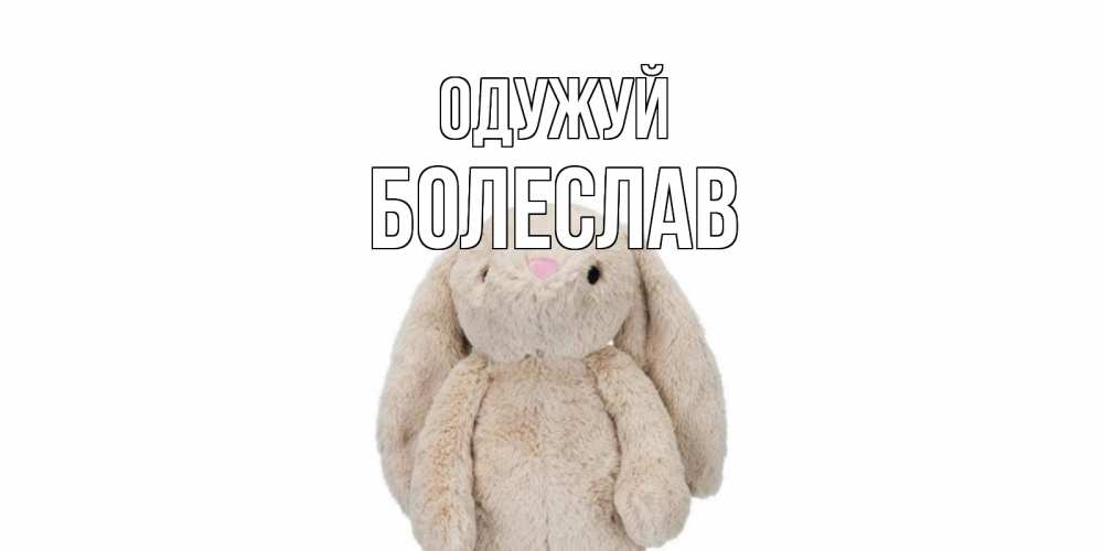 Открытка на каждый день з підписом, Болеслав Одужуй не болей Прикольна листівка з побажанням онлайн скачати безкоштовно 