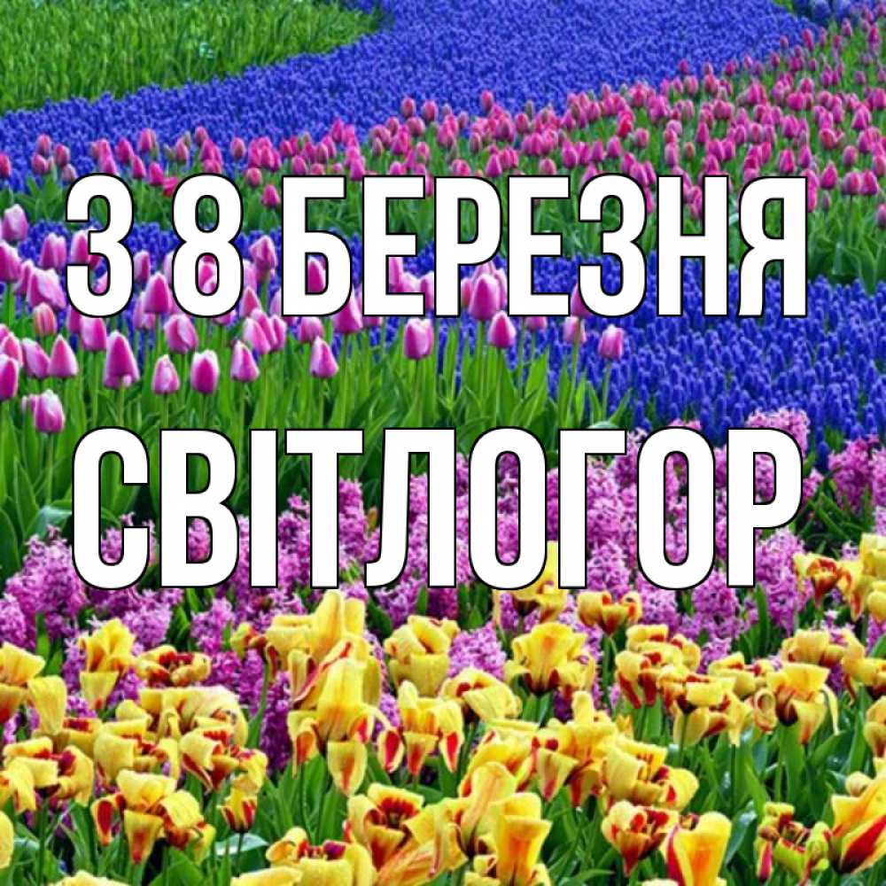 Открытка на каждый день з підписом, Світлогор З 8 БЕРЕЗНЯ цветы Прикольна листівка з побажанням онлайн скачати безкоштовно 