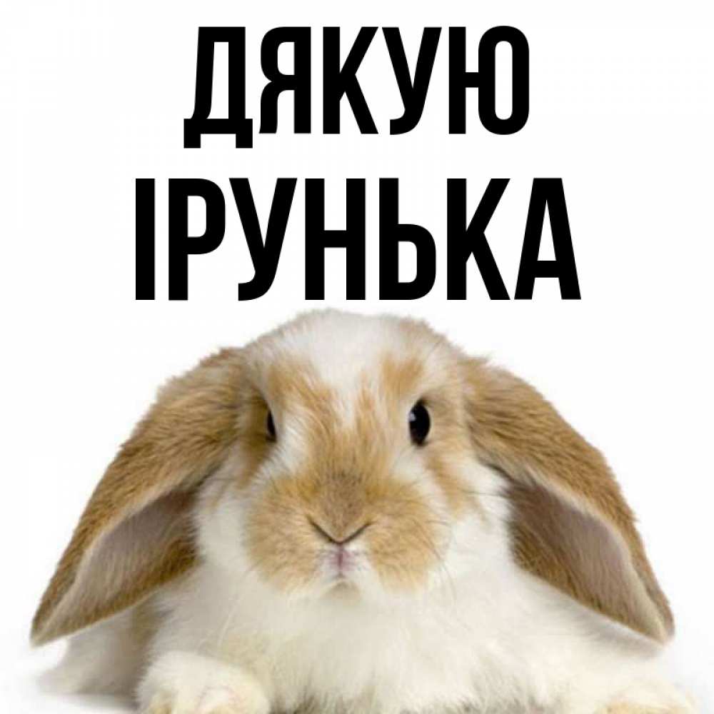 Открытка на каждый день з підписом, Ірунька Дякую коричнево белый заяц Прикольна листівка з побажанням онлайн скачати безкоштовно 