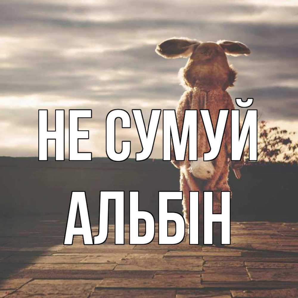 Открытка на каждый день з підписом, Альбін Не сумуй со спины Прикольна листівка з побажанням онлайн скачати безкоштовно 