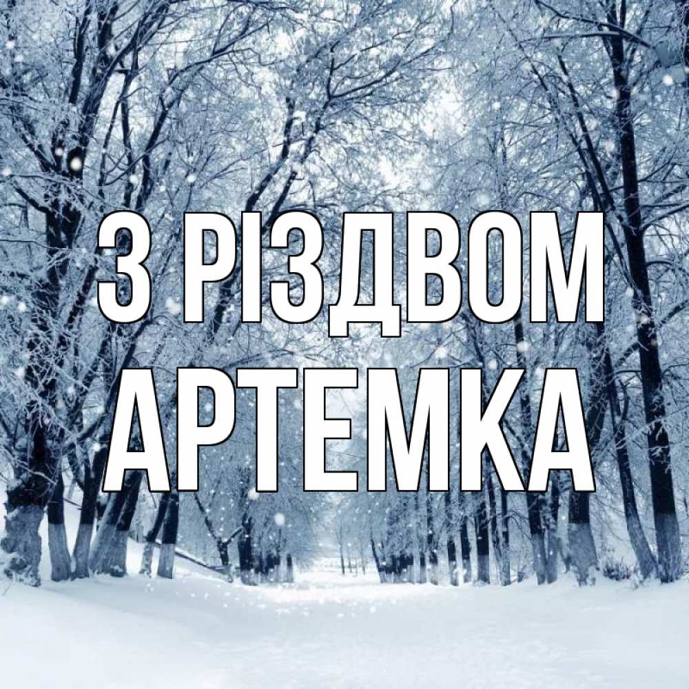 Открытка на каждый день з підписом, Артемка З Різдвом снег, лес, парк Прикольна листівка з побажанням онлайн скачати безкоштовно 