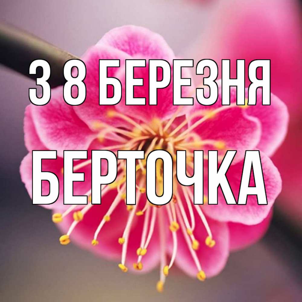 Открытка на каждый день з підписом, Берточка З 8 БЕРЕЗНЯ цветы Прикольна листівка з побажанням онлайн скачати безкоштовно 