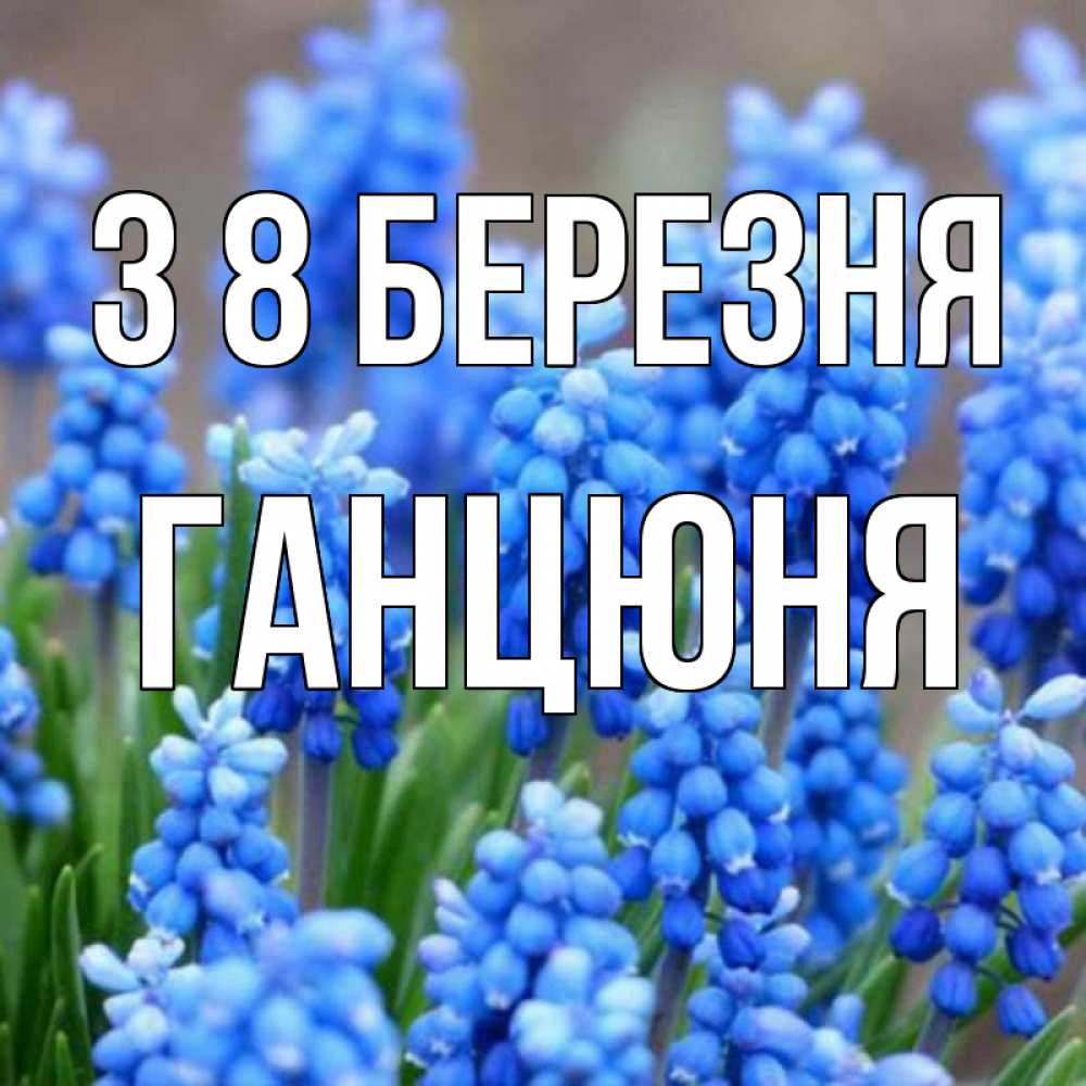 Открытка на каждый день з підписом, Ганцюня З 8 БЕРЕЗНЯ Поздравительная открытка для женщин с цветами на праздничную дату Прикольна листівка з побажанням онлайн скачати безкоштовно 