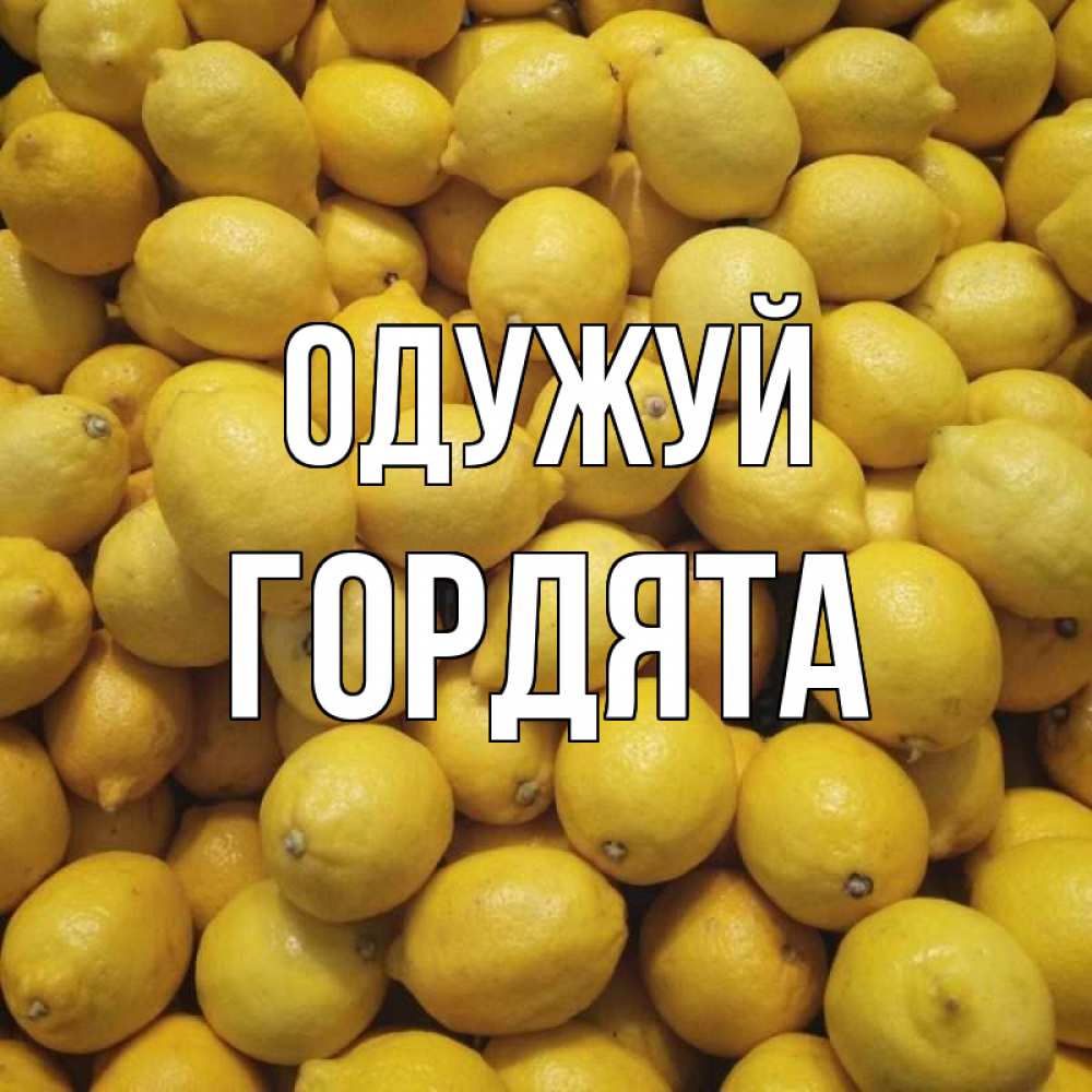 Открытка на каждый день з підписом, Гордята Одужуй это точно поможет Прикольна листівка з побажанням онлайн скачати безкоштовно 