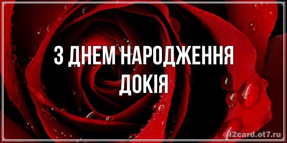 Открытка на каждый день з підписом, Докія З Днем народження крупная бордовая роза Прикольна листівка з побажанням онлайн скачати безкоштовно 