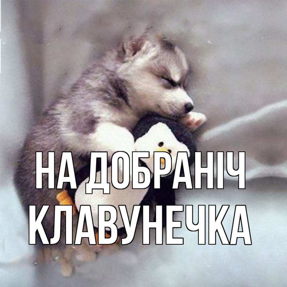 Открытка на каждый день з підписом, Клавунечка На добраніч обнимашки щенка и пингвина Прикольна листівка з побажанням онлайн скачати безкоштовно 