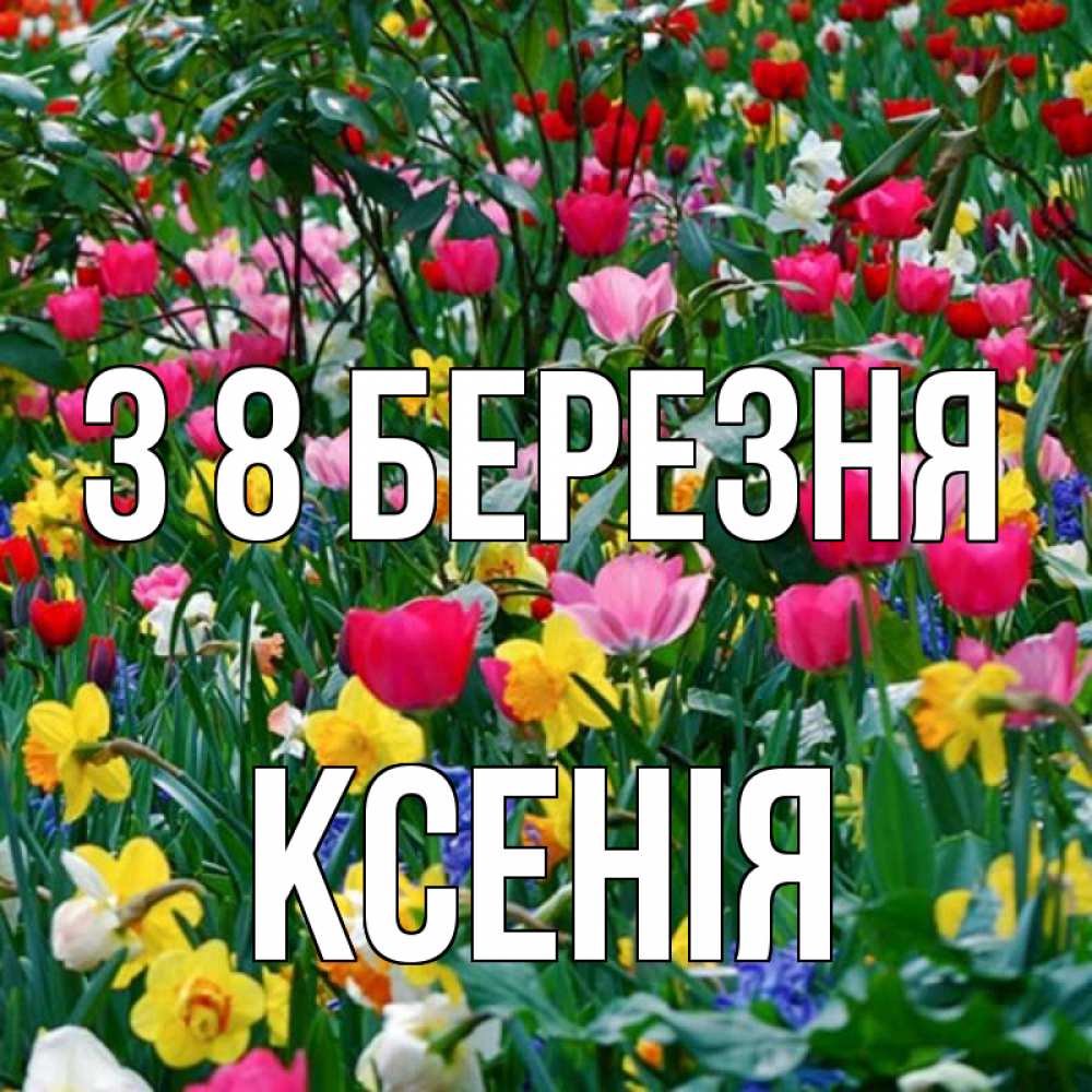 Открытка на каждый день з підписом, Ксенія З 8 БЕРЕЗНЯ с международным женским днем поздравления для женщины Прикольна листівка з побажанням онлайн скачати безкоштовно 