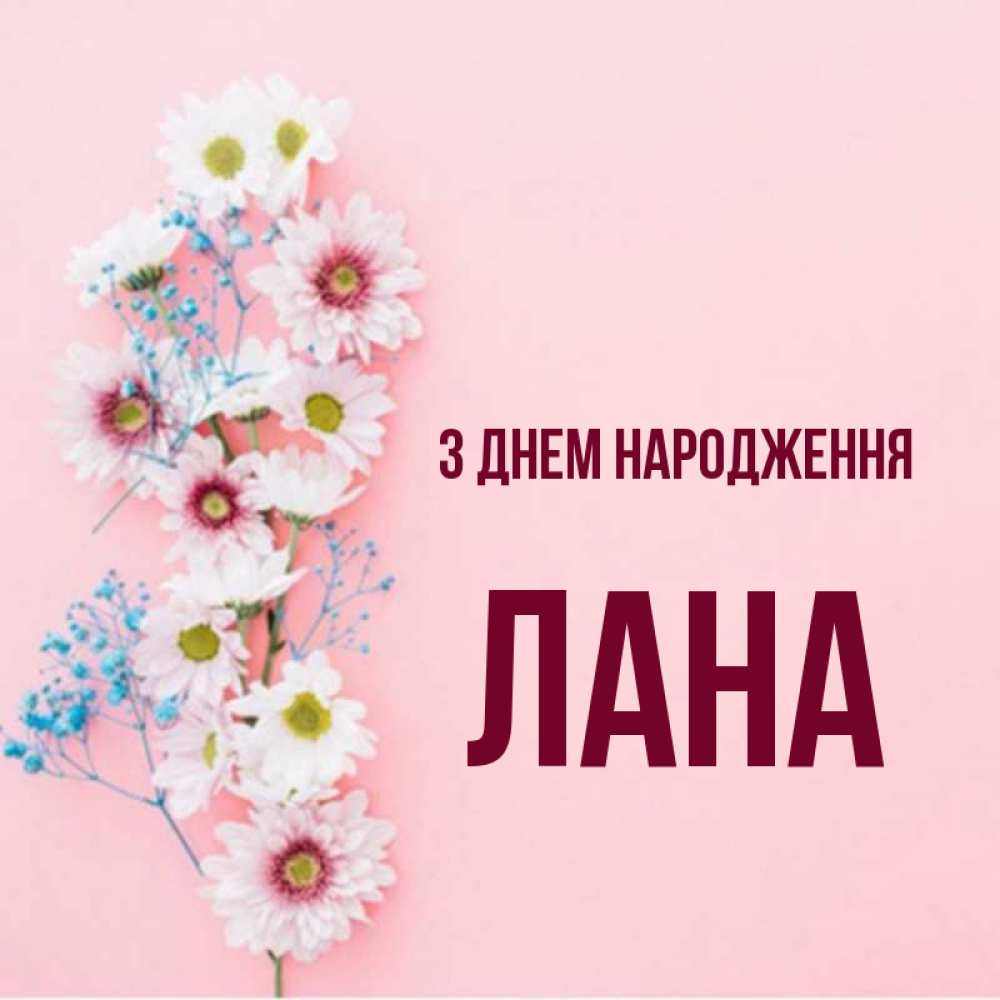 Открытка на каждый день з підписом, Лана З Днем народження Родная моя с днем рождения тебя картинка с цветами белыми и голубыми Прикольна листівка з побажанням онлайн скачати безкоштовно 