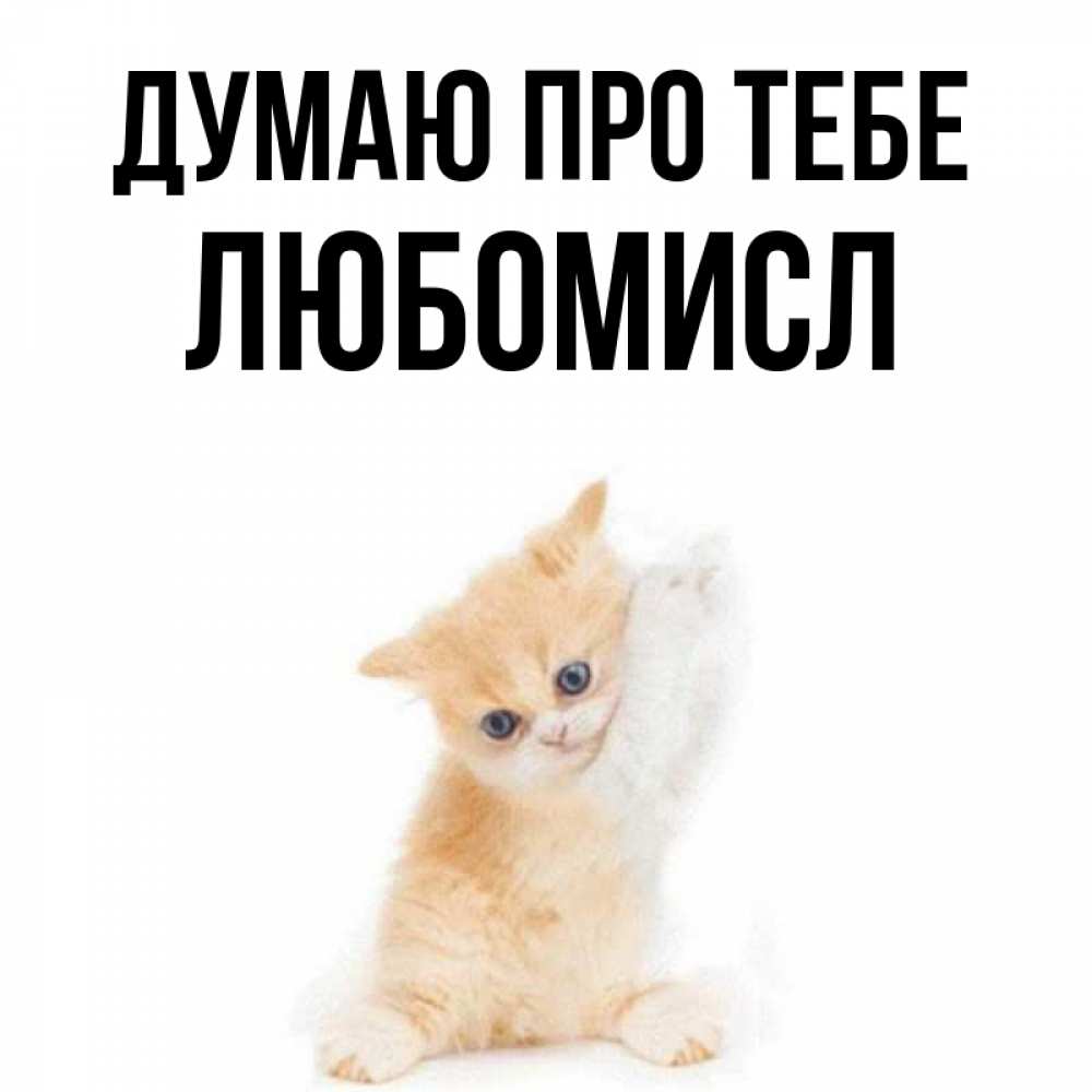 Открытка на каждый день з підписом, Любомисл Думаю про тебе зверушки и милота Прикольна листівка з побажанням онлайн скачати безкоштовно 
