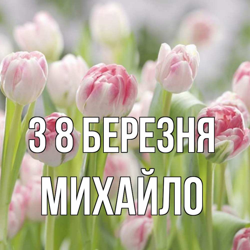 Открытка на каждый день з підписом, Михайло З 8 БЕРЕЗНЯ цветы Прикольна листівка з побажанням онлайн скачати безкоштовно 