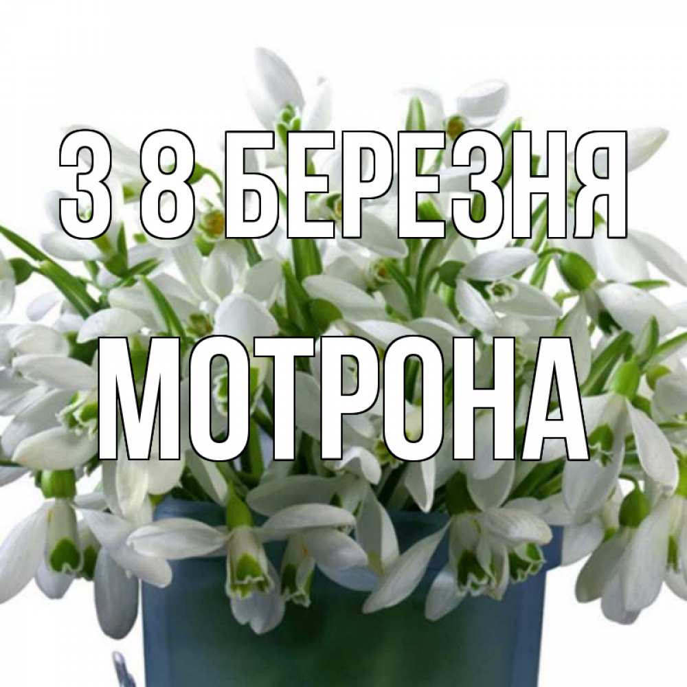 Открытка на каждый день з підписом, Мотрона З 8 БЕРЕЗНЯ цветы к международному женскому дню Прикольна листівка з побажанням онлайн скачати безкоштовно 