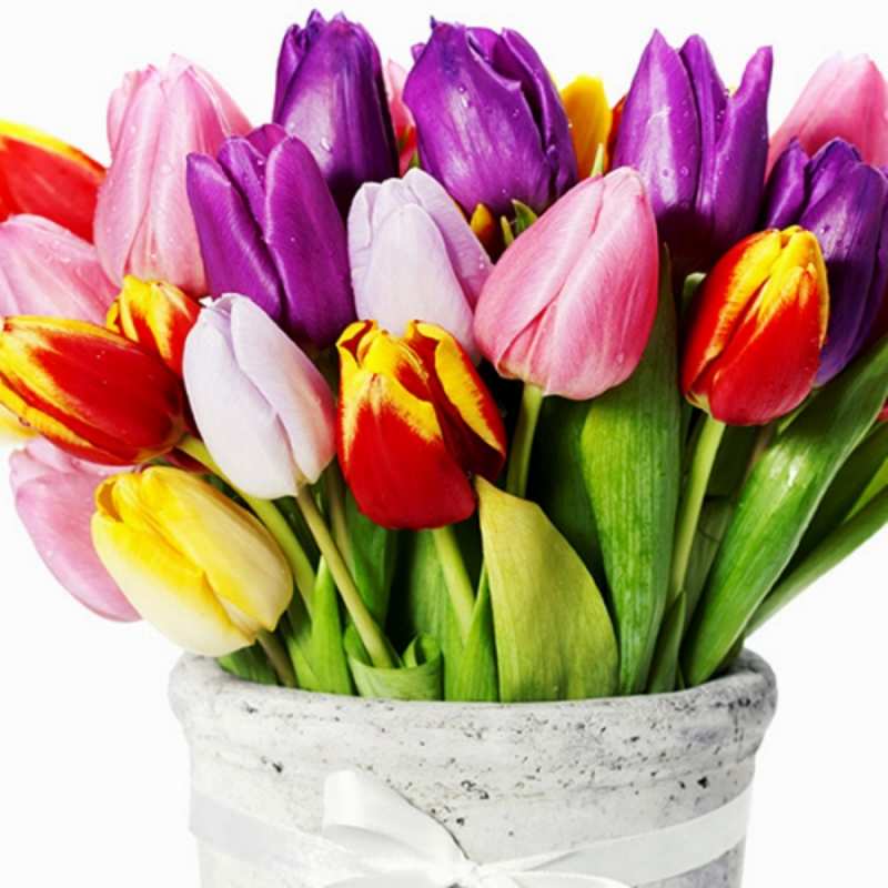 Открытка тюльпаны в вазе  букет  С наурызом 