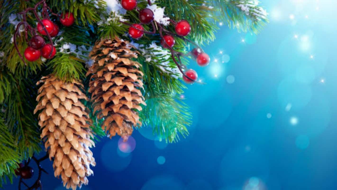 Открытка Елка и шишки с рябиной  Новый год, ель, шишки  З новим роком 