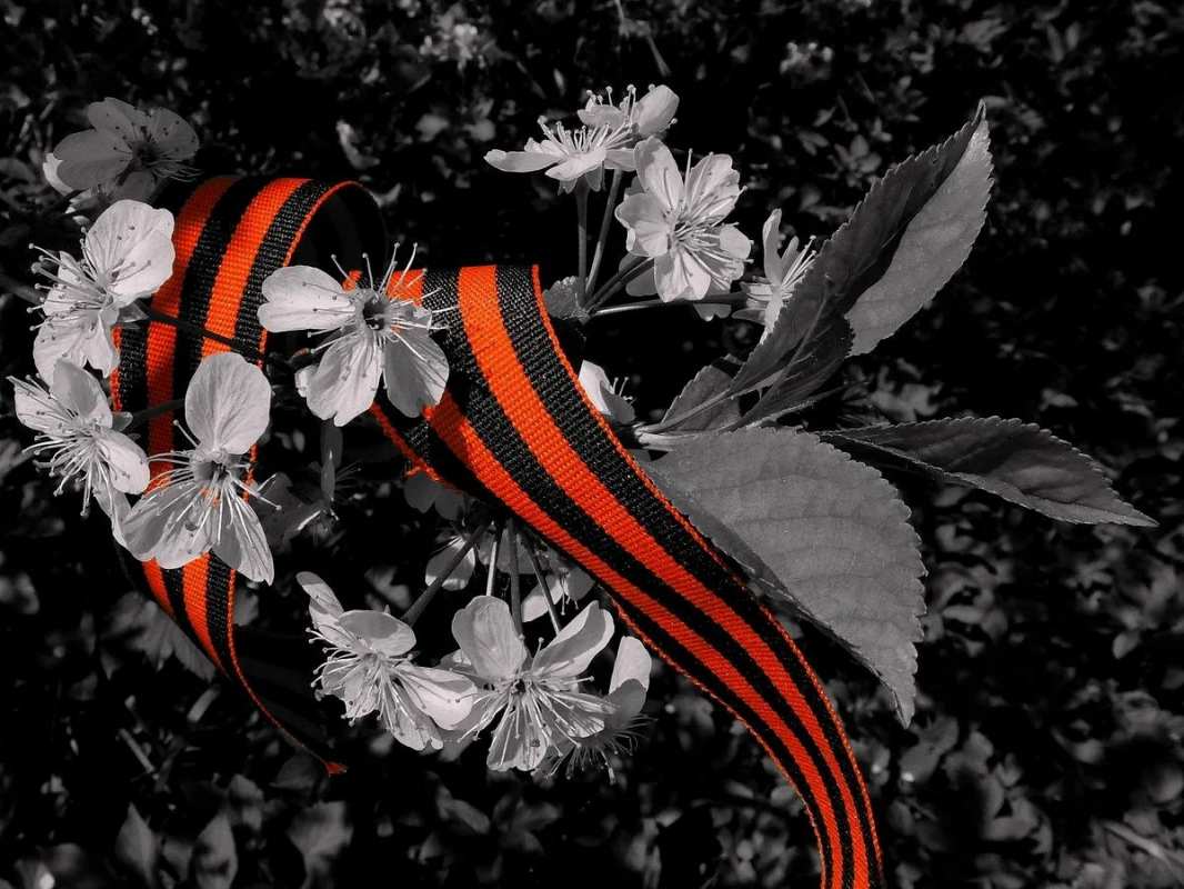 Открытка лента и цветы яблони  9 мая  З 9 травня 